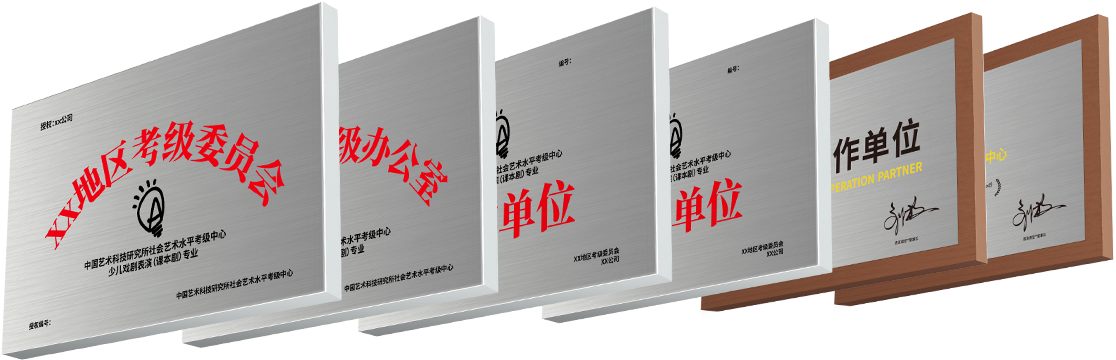 表演課堂地區(qū)考級委員會